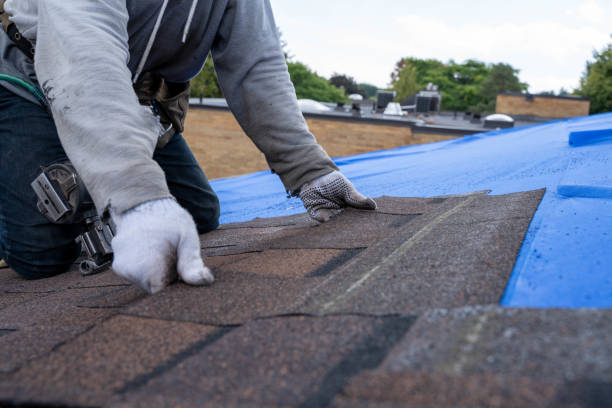 Best Storm Damage Roof Repair  in Avoca, PA